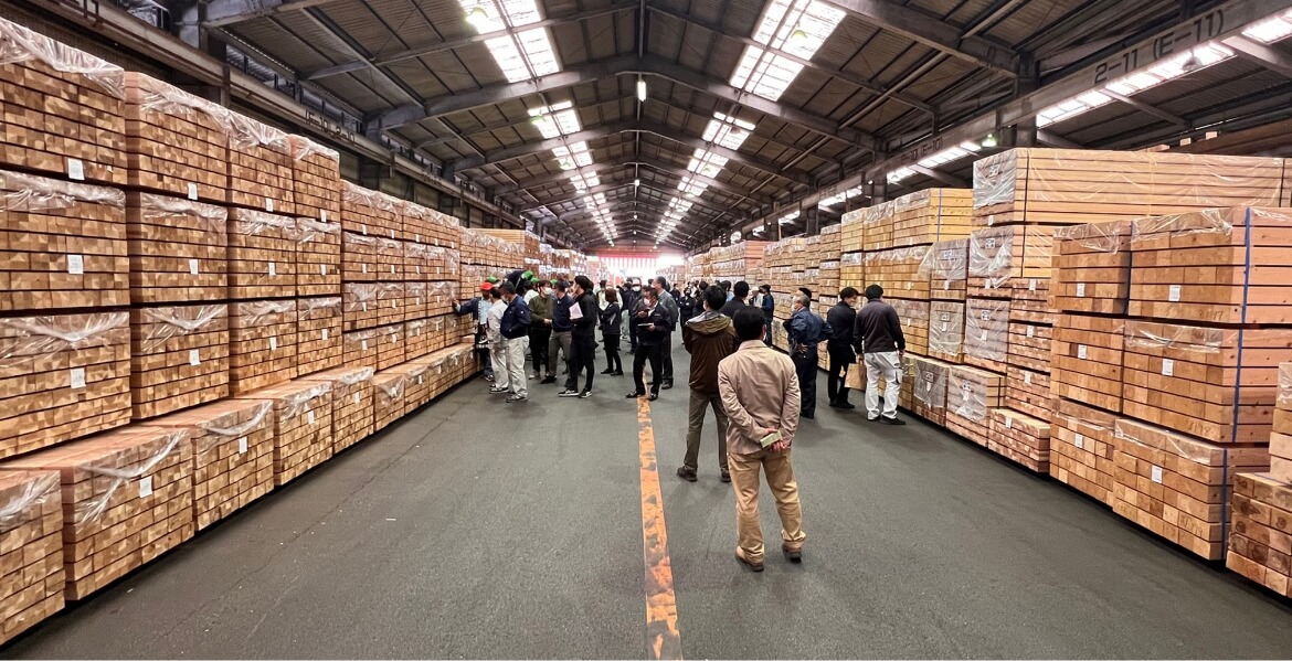 木材を見ている人の写真