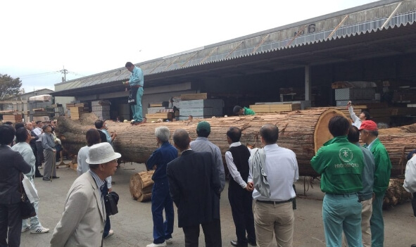 本社素材部のようす