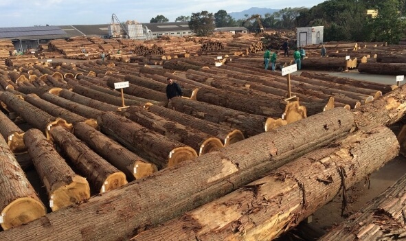 本社素材部のようす