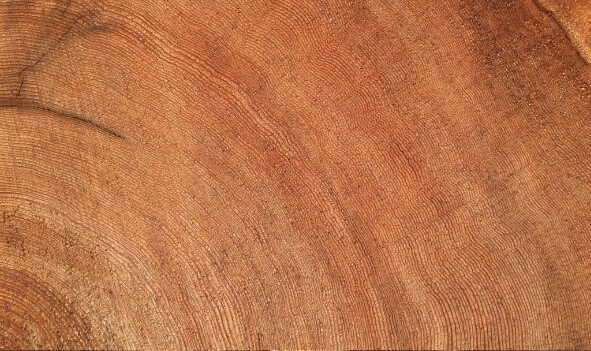 本社素材部のようす