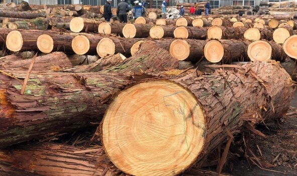 本社素材部のようす