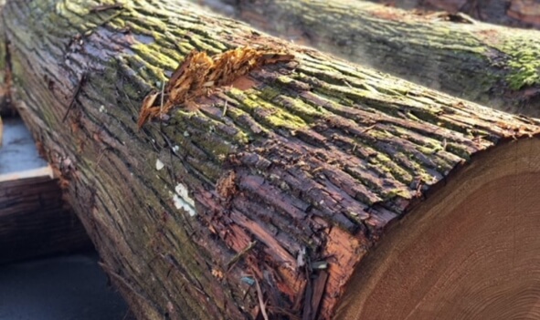 本社素材部のようす