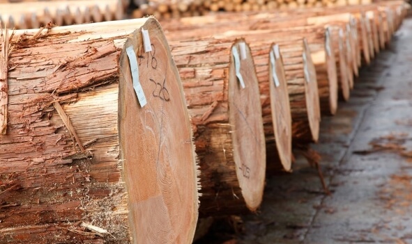 人吉支店素材部のようす