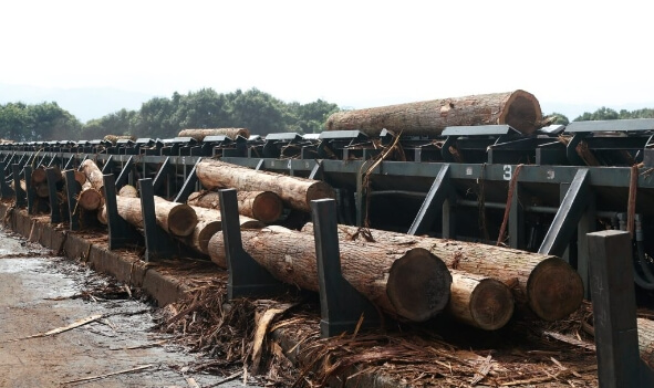 人吉支店素材部のようす