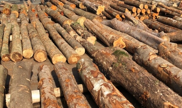 人吉支店素材部のようす